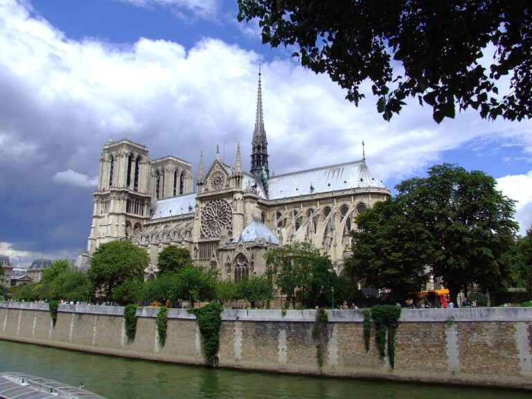 Mastering-the-Paris-Marathon-A-Runners-Comprehensive-Guide